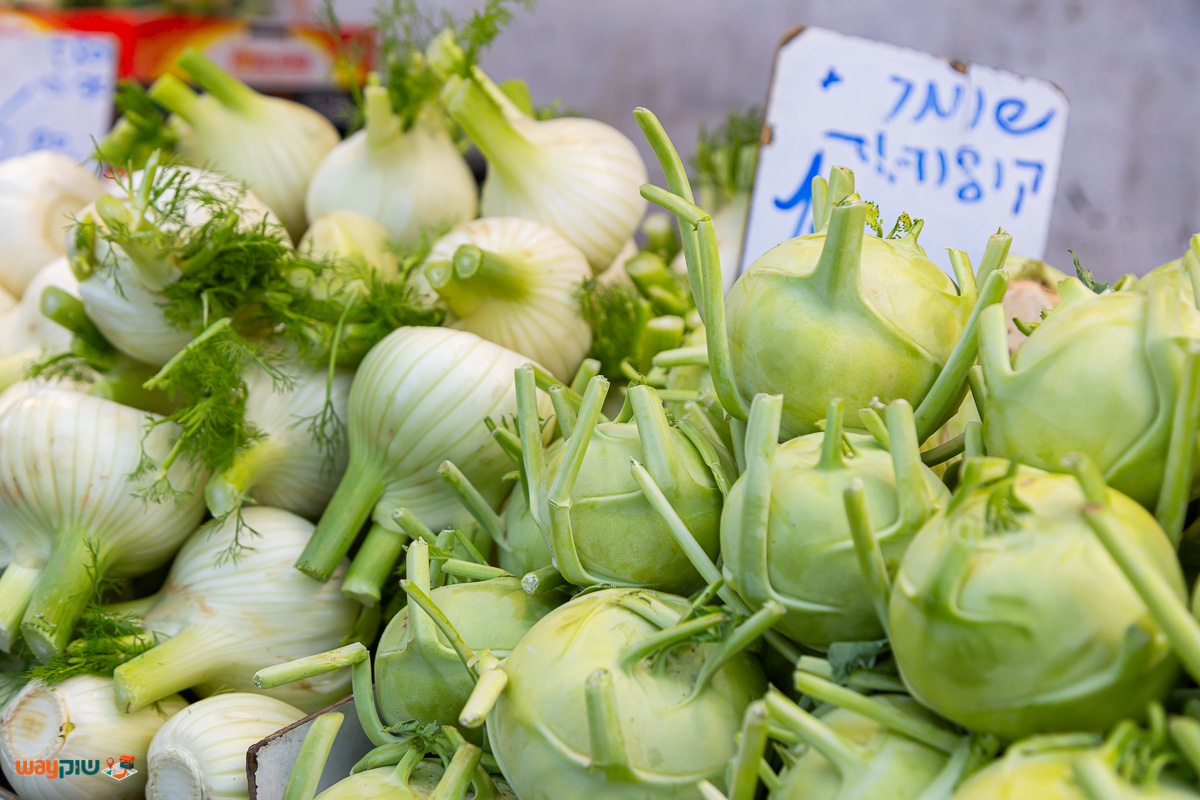 משה יחזקאל — תמונה 2