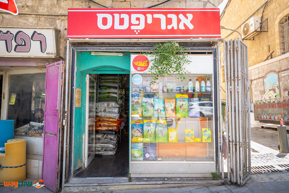 אגריפטס