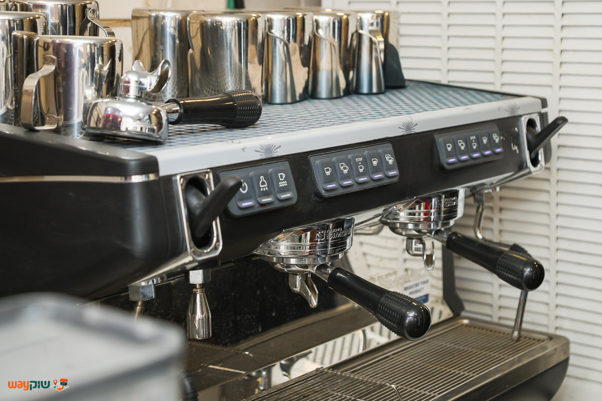 צופית — תמונה 2