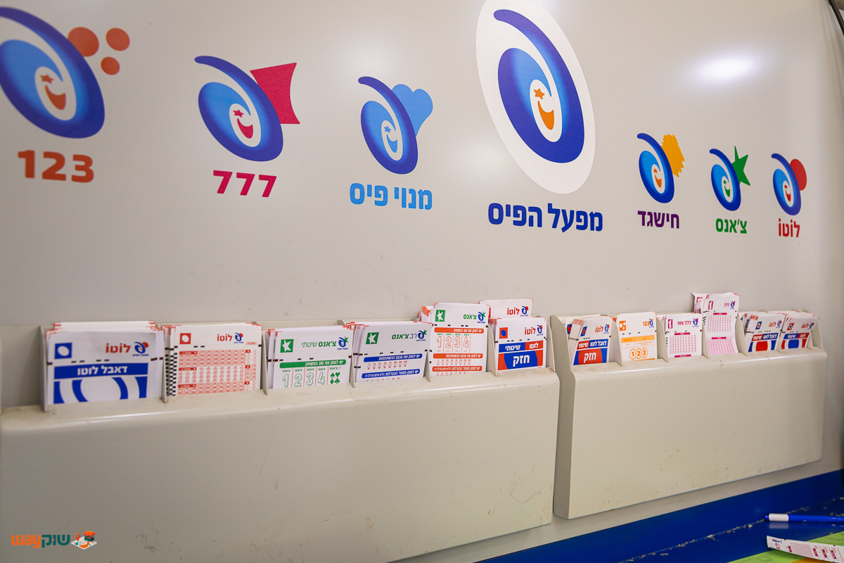 לוטו — תמונה 2