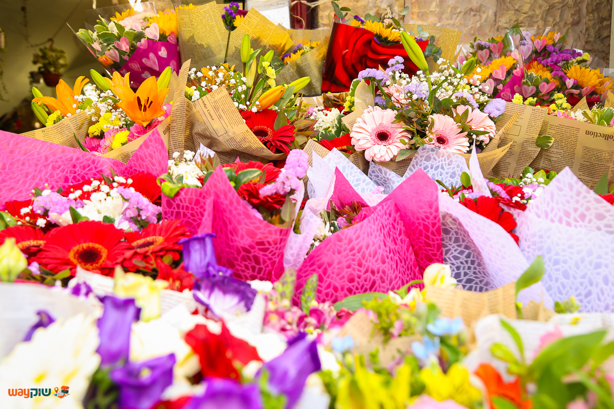 פרחי לכיש — תמונה 2