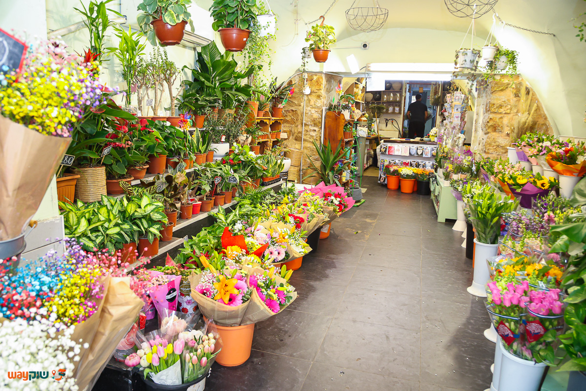 פרחי לכיש — תמונה 3