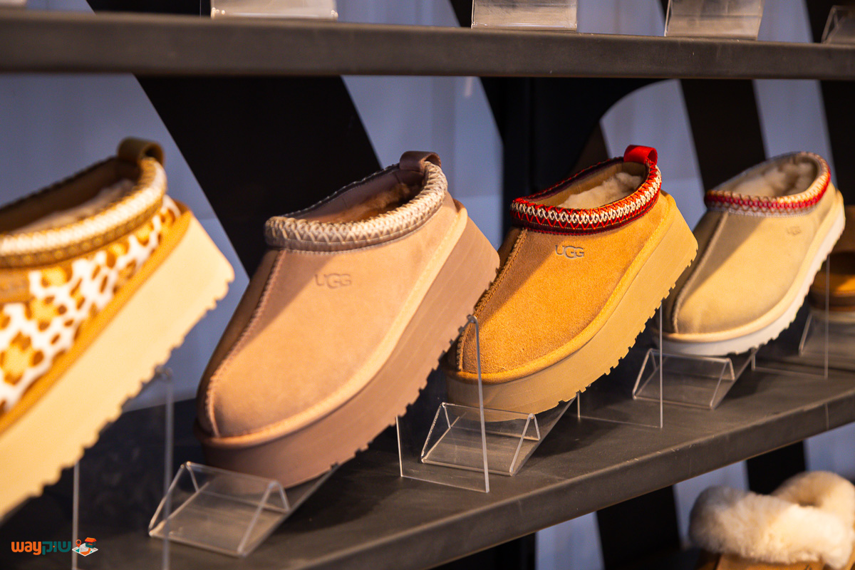 אוריג׳ינלס — תמונה 2