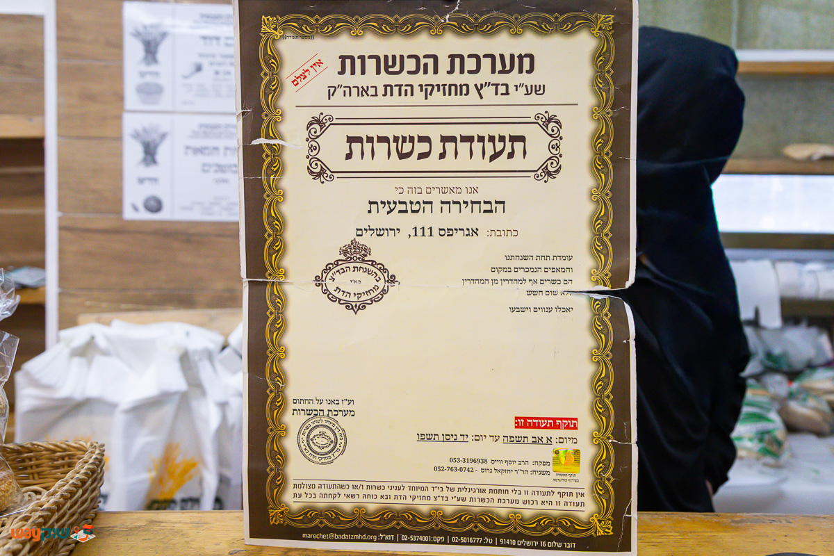 הבחירה הטבעית — תמונה 2