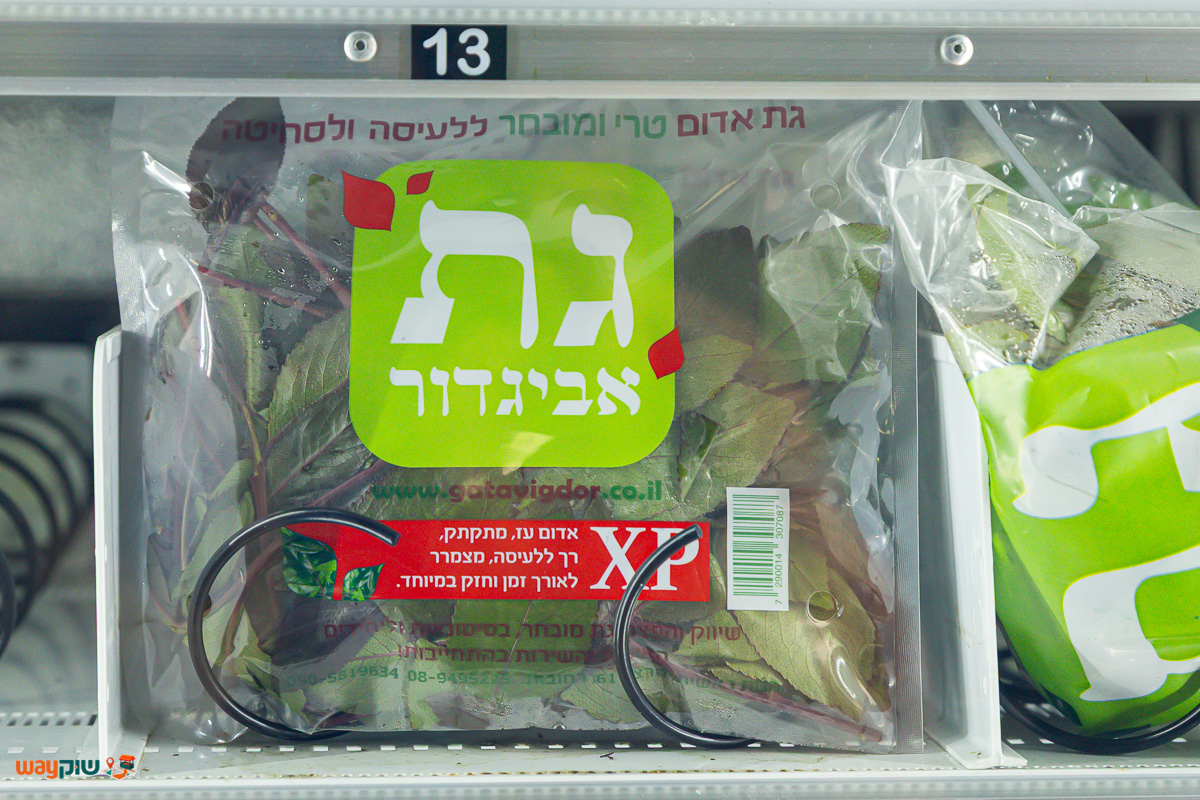 גת עקיבא — תמונה 2