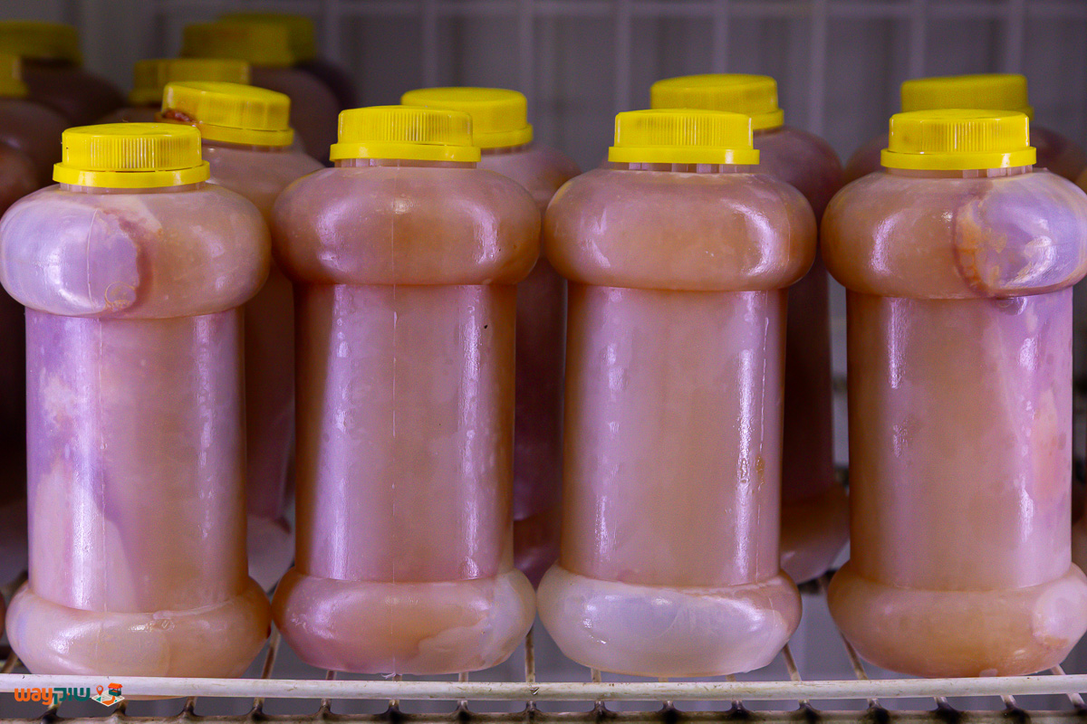 גת עקיבא — תמונה 3