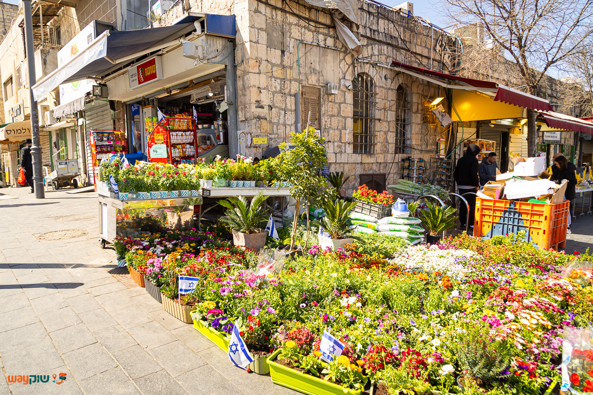הכיפה — תמונה 2
