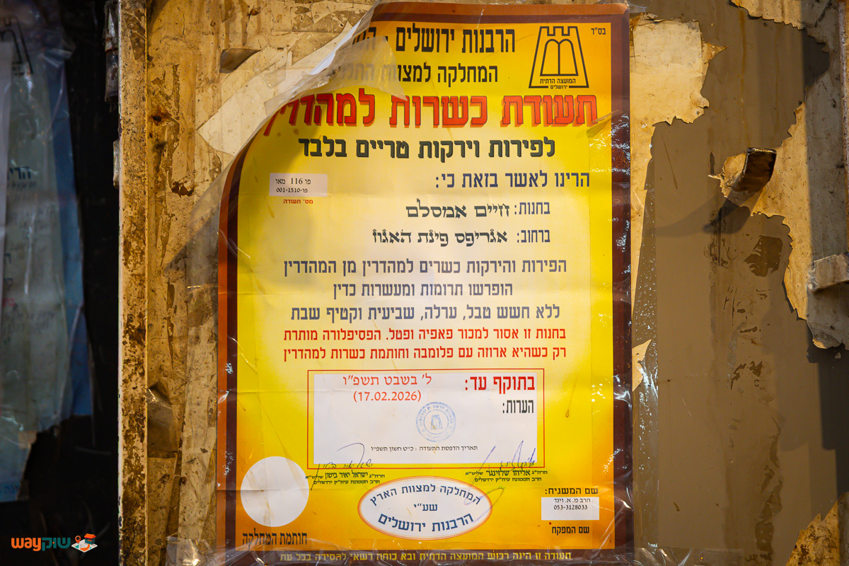 חיים בלאדי — תמונה 2