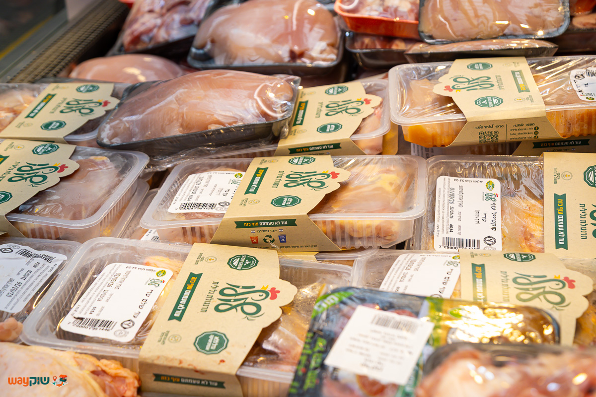 איטליז רפאל — תמונה 3