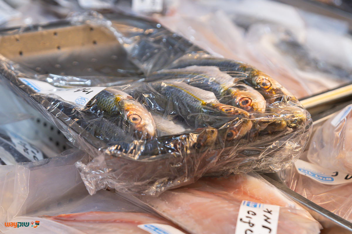 דוד דגים — תמונה 3