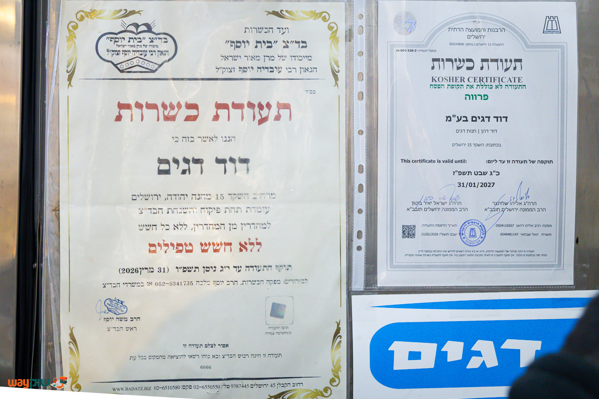 דוד דגים — תמונה 2