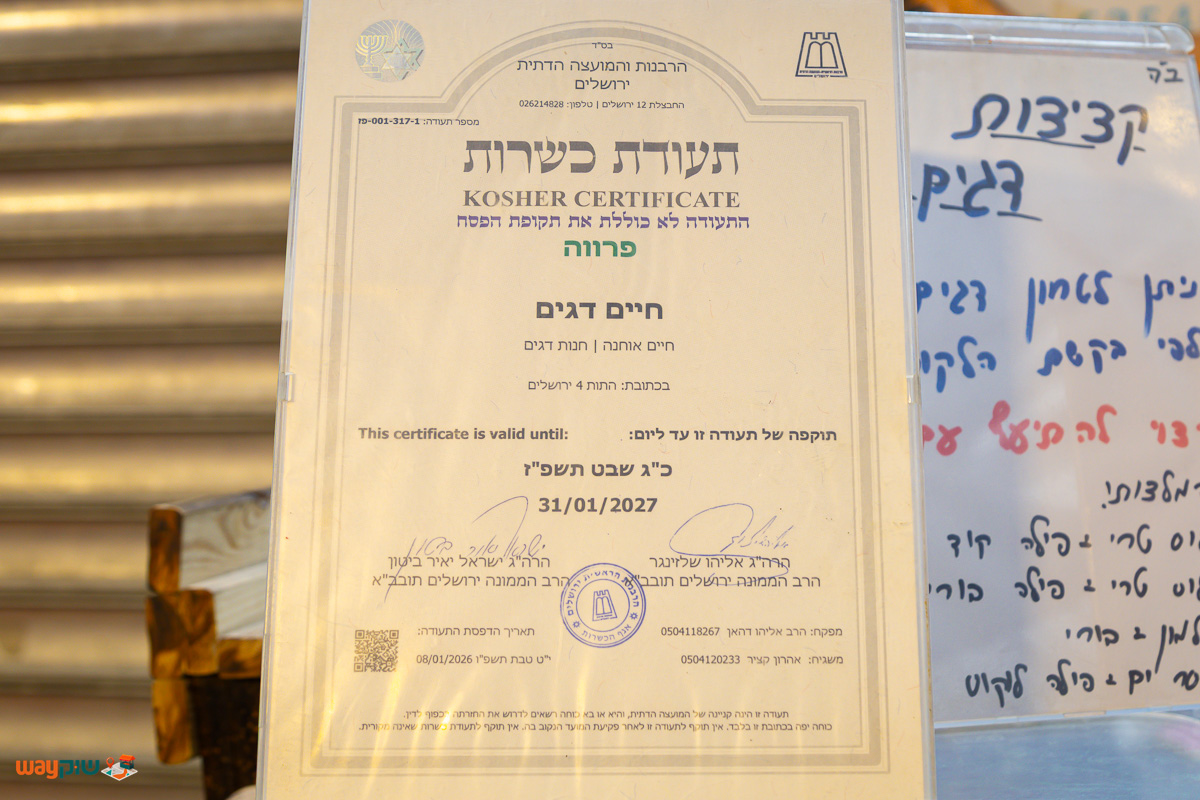 חיים דגים — תמונה 2