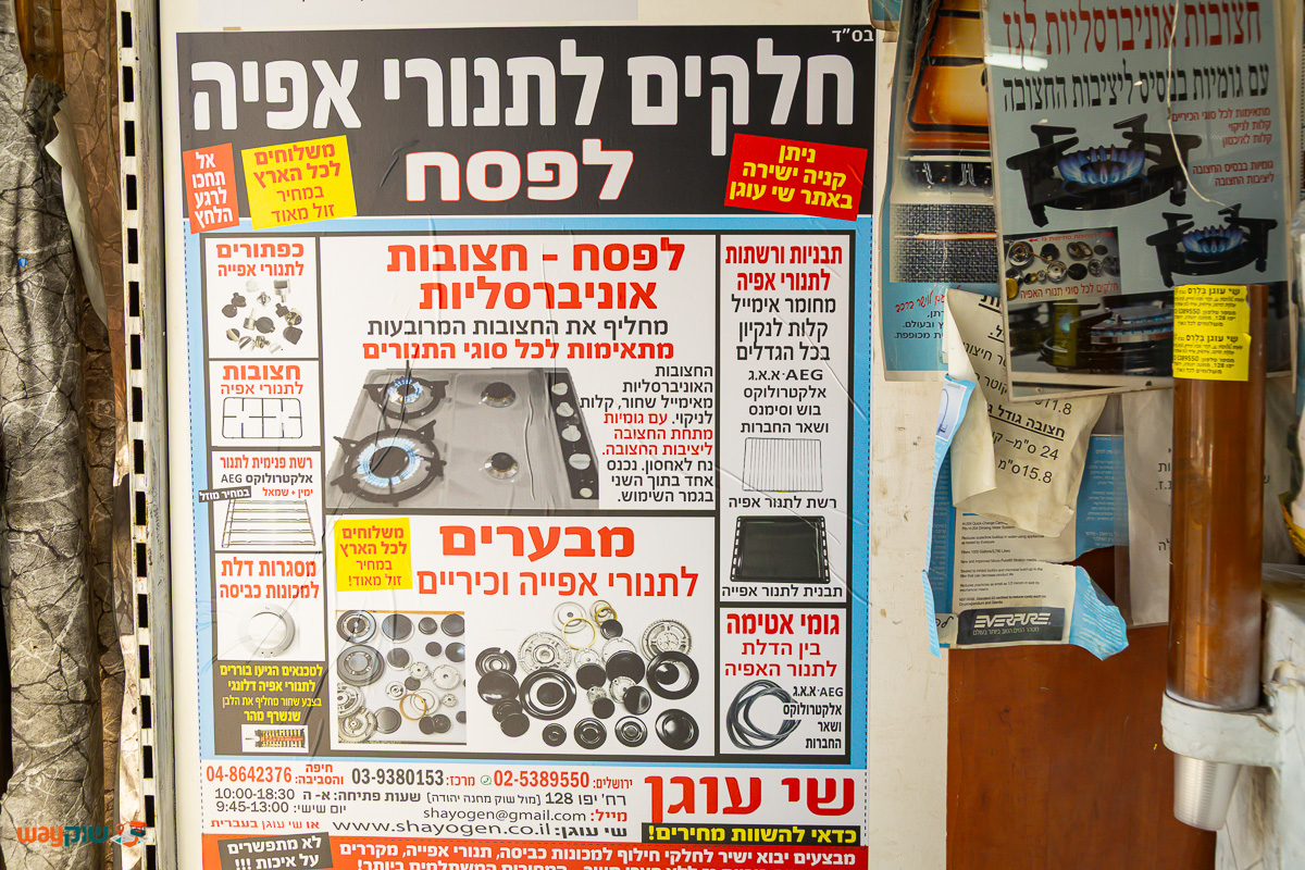 שי עוגן — תמונה 3