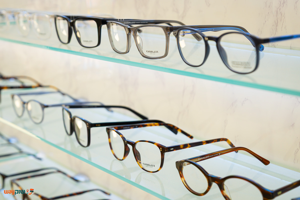 אייאופטיקס — תמונה 2