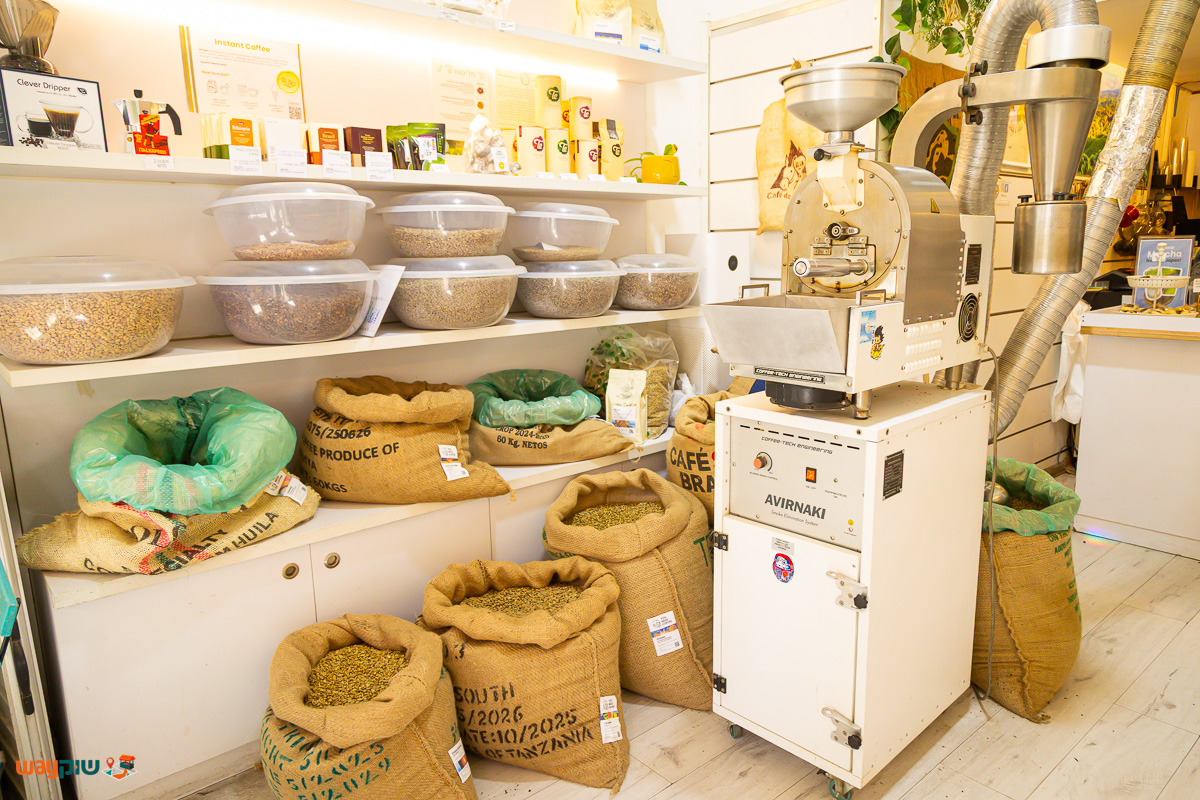 יו ניד קופי — תמונה 2