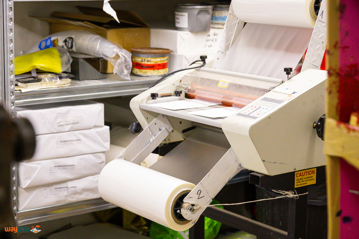 דפוס חי — תמונה 3