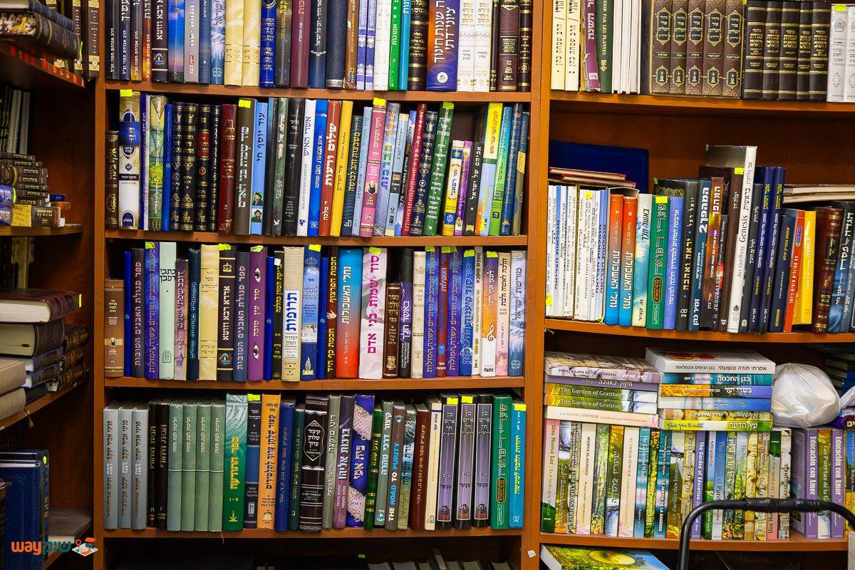 יוסף ענף אזור — תמונה 3