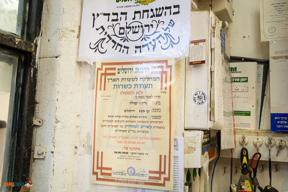 גרעיני עפולה — תמונה 2