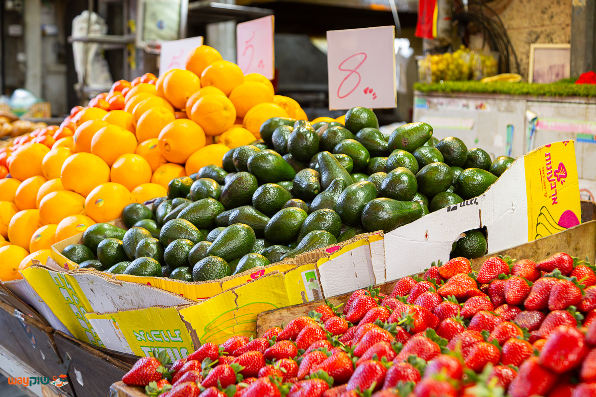 אפרים ביבי — תמונה 2