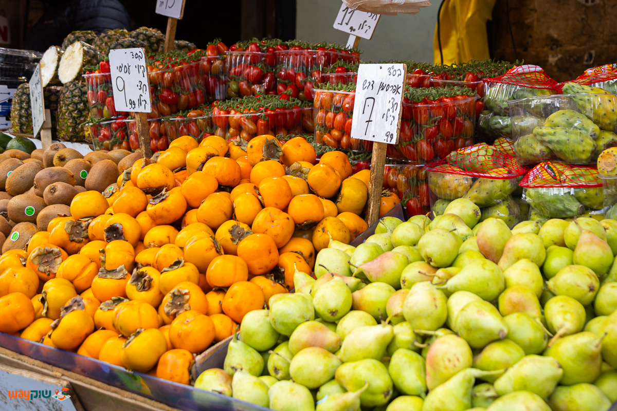 אלנתן בן חמו — תמונה 2