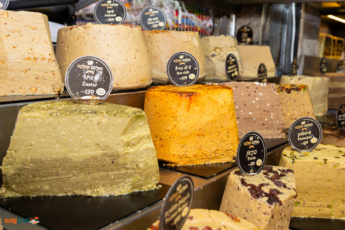 ממלכת החלב ה — תמונה 2