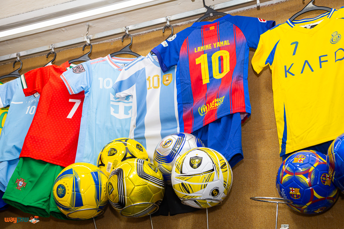 ג׳ינג׳י — תמונה 2