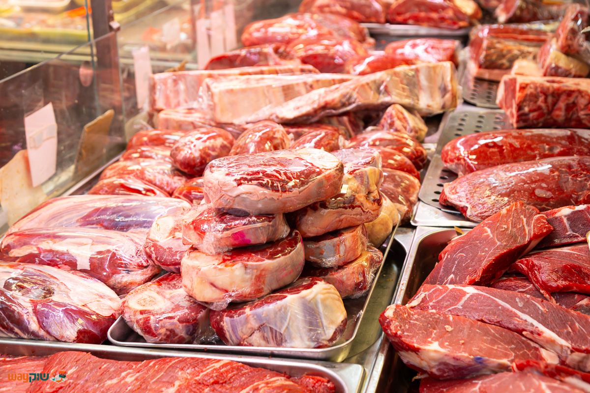 איטליז התאומים מגזימוף — תמונה 4