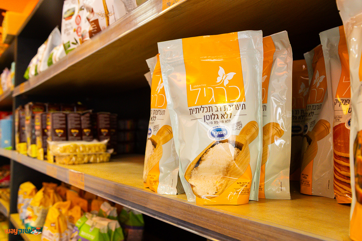 גלולס — תמונה 2