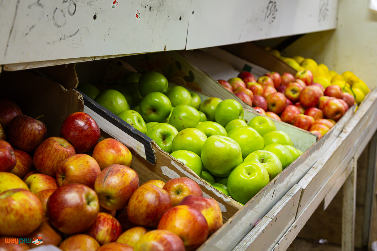 אמנון משה — תמונה 3