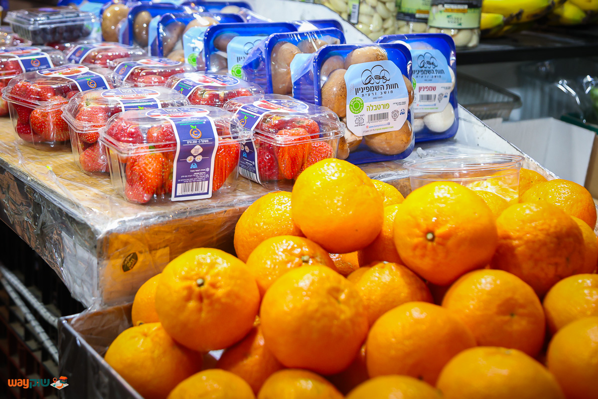 ברכת קטיף — תמונה 2