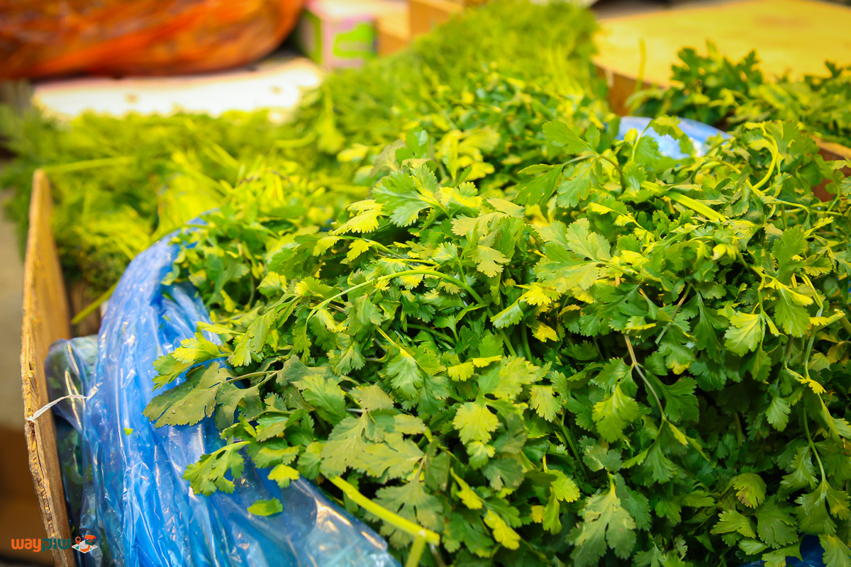 דור דרויש — תמונה 2