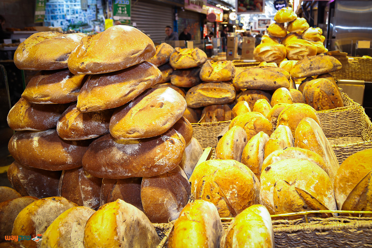 טלר — תמונה 4