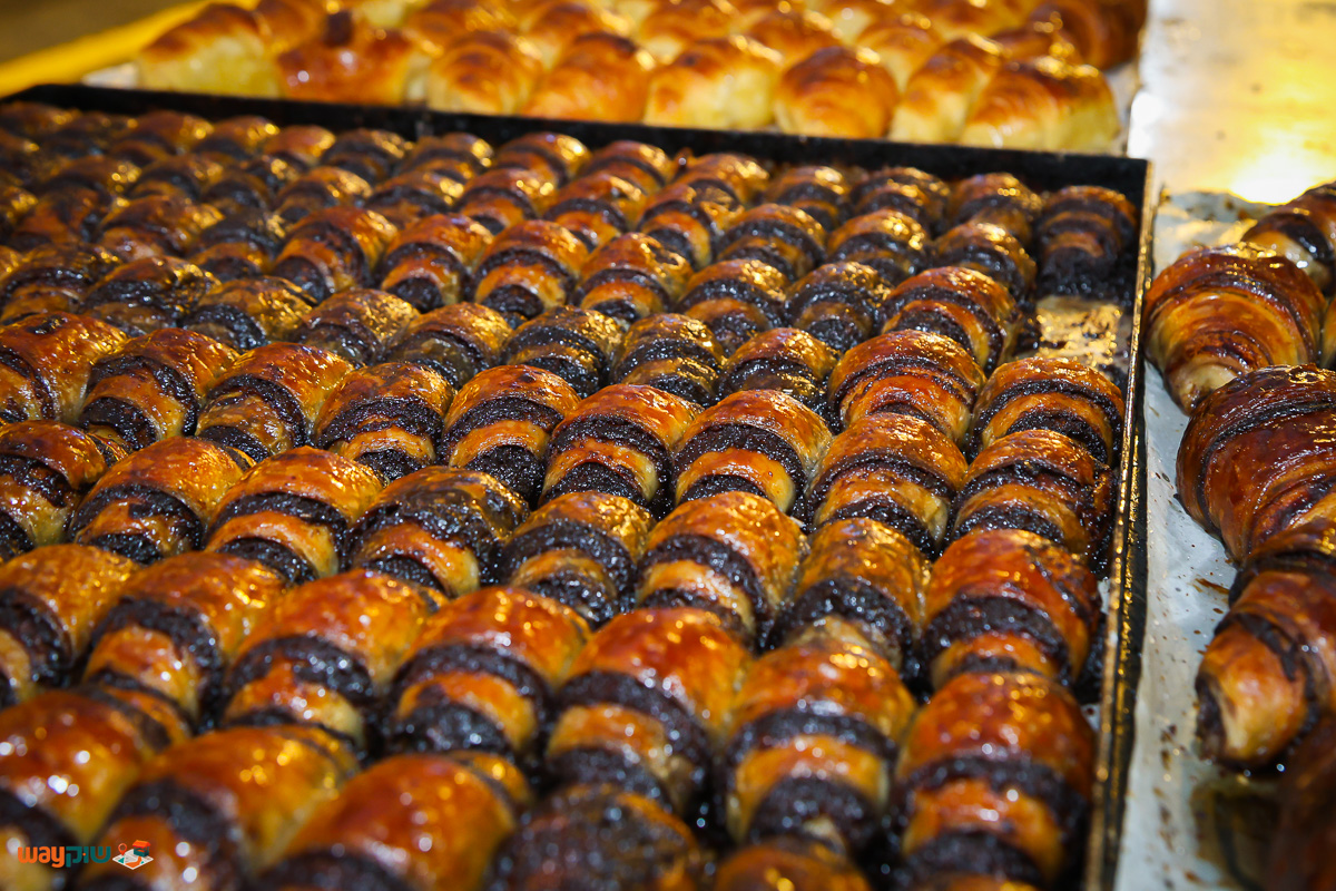 מגדנית פאר — תמונה 2