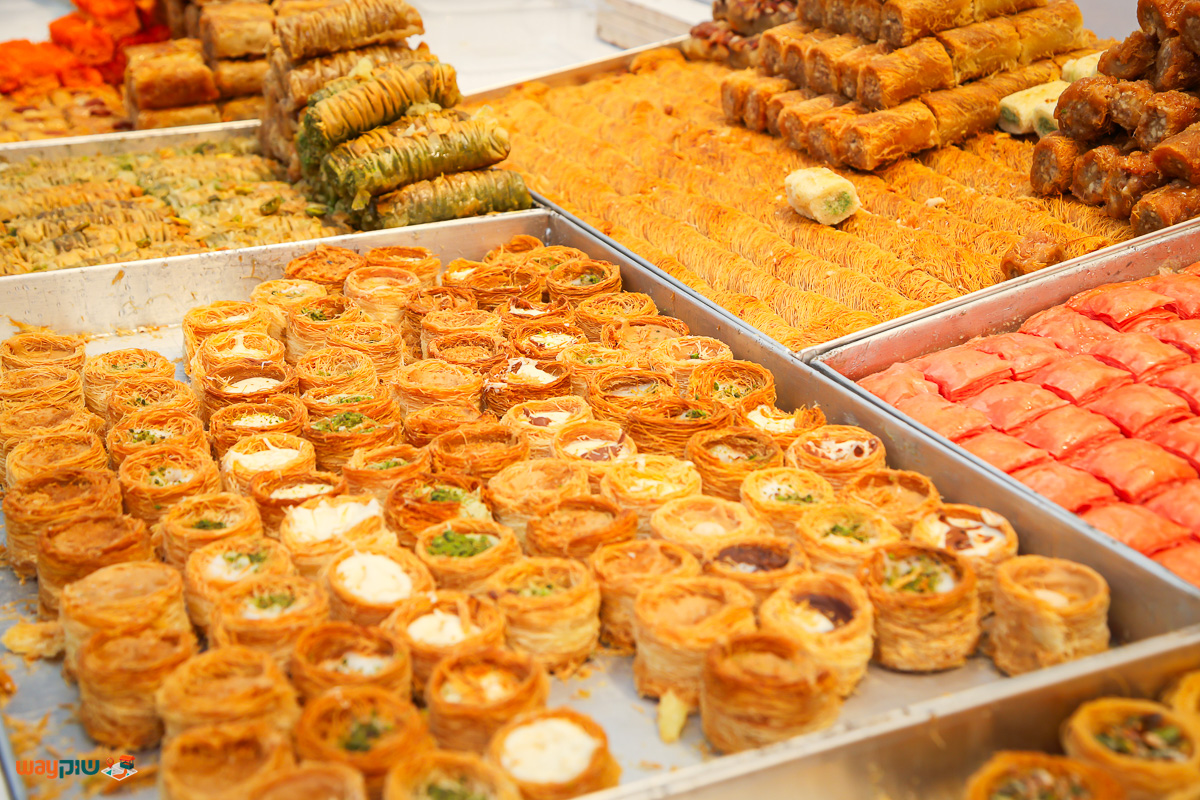 רקפה — תמונה 2