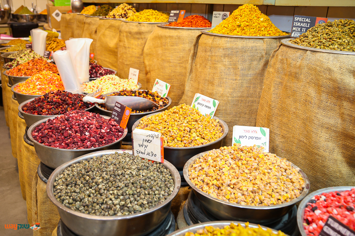 רוזמרין — תמונה 2