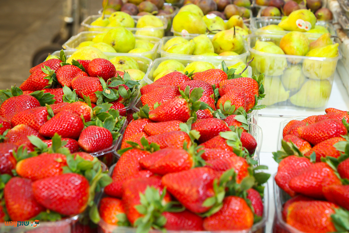 אברהם לוי — תמונה 2