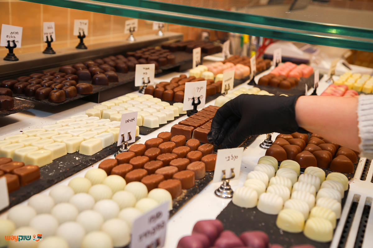 יער הקקאו — תמונה 2