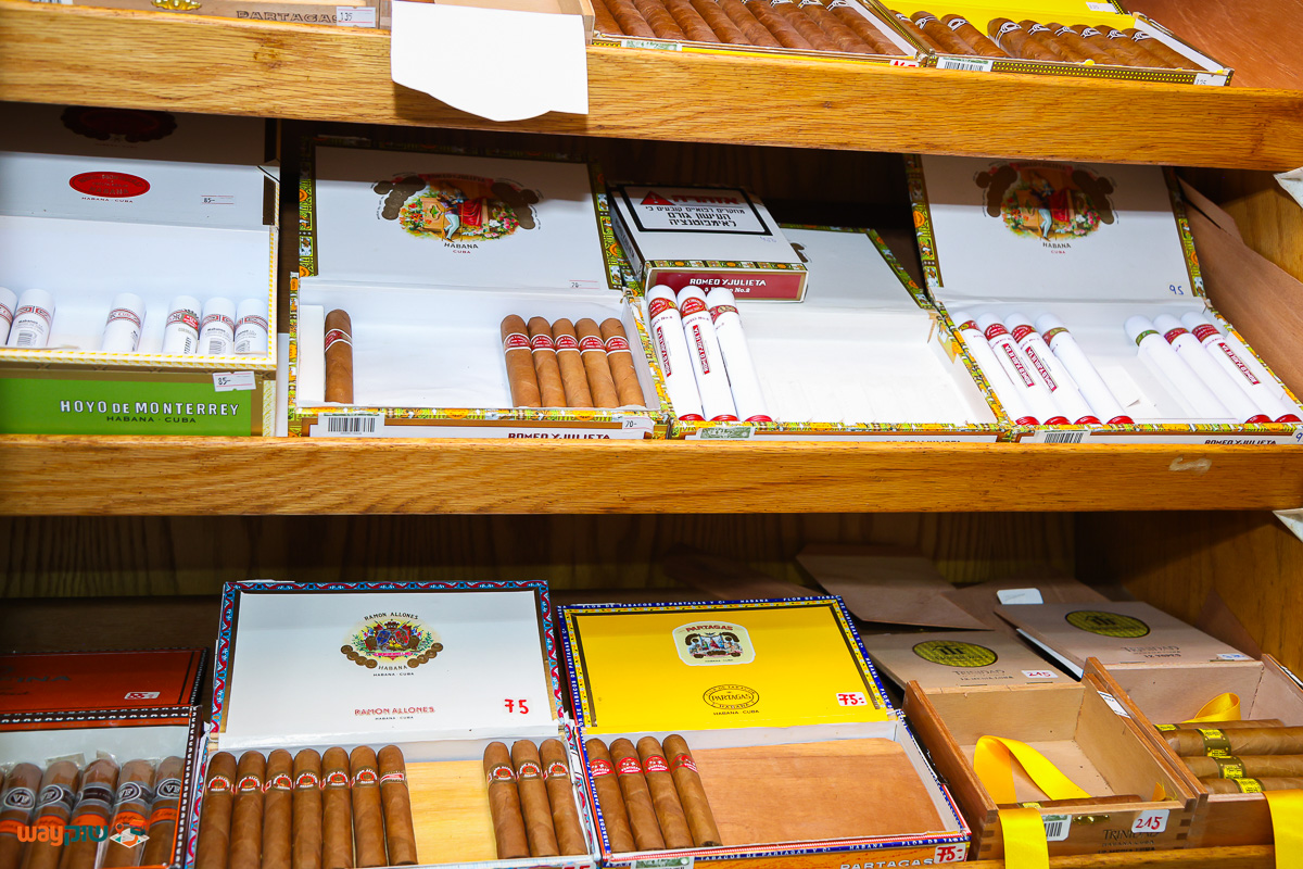 מוסרי — תמונה 2