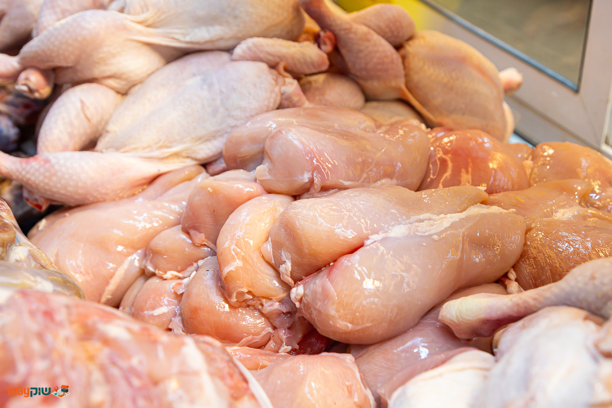 איטליז דוד און — תמונה 3